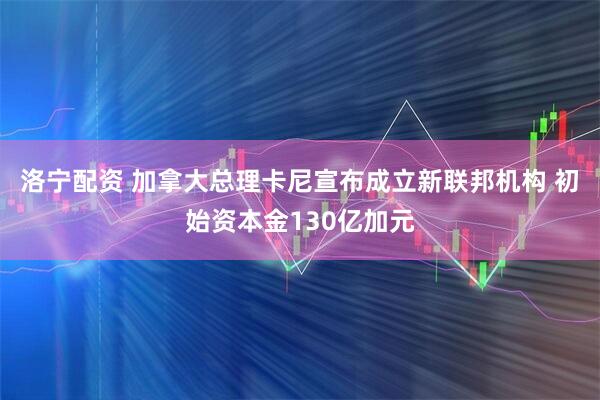 洛宁配资 加拿大总理卡尼宣布成立新联邦机构 初始资本金130亿加元