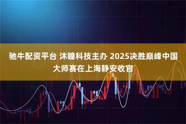 驰牛配资平台 沐瞳科技主办 2025决胜巅峰中国大师赛在上海静安收官