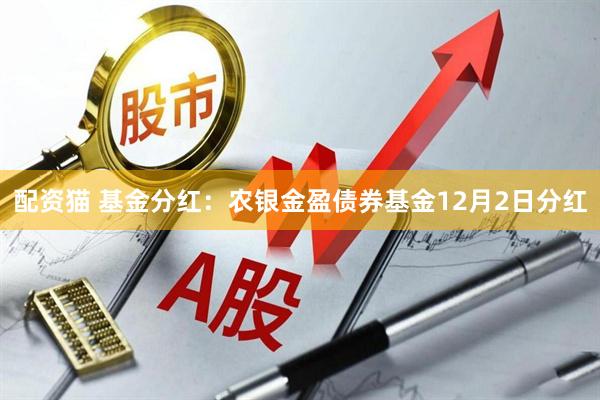 配资猫 基金分红：农银金盈债券基金12月2日分红