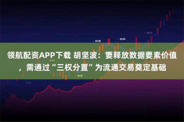 领航配资APP下载 胡坚波：要释放数据要素价值，需通过“三权分置”为流通交易奠定基础