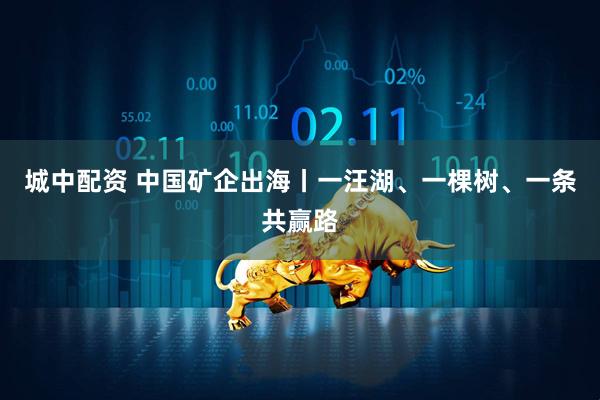 城中配资 中国矿企出海丨一汪湖、一棵树、一条共赢路