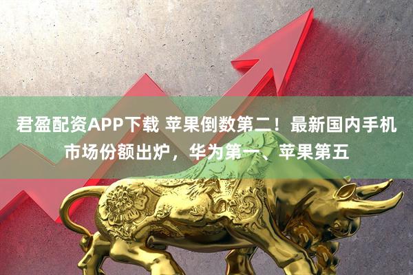 君盈配资APP下载 苹果倒数第二！最新国内手机市场份额出炉，华为第一、苹果第五